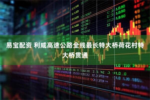 易宝配资 利咸高速公路全线最长特大桥荷花村特大桥贯通