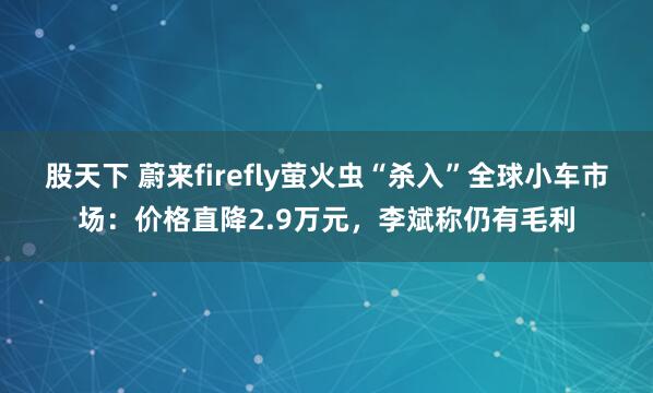 股天下 蔚来firefly萤火虫“杀入”全球小车市场：价格直降2.9万元，李斌称仍有毛利