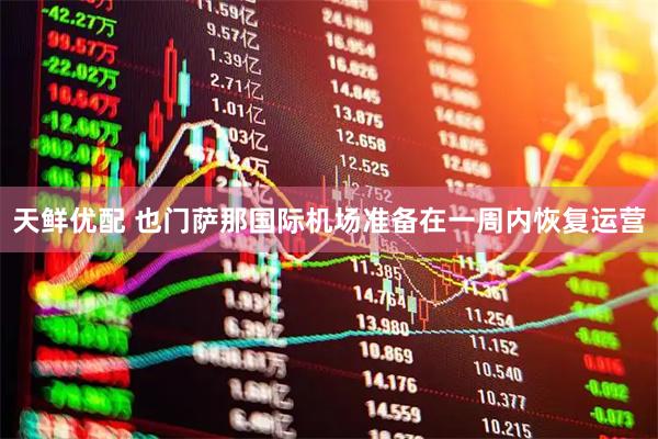 天鲜优配 也门萨那国际机场准备在一周内恢复运营