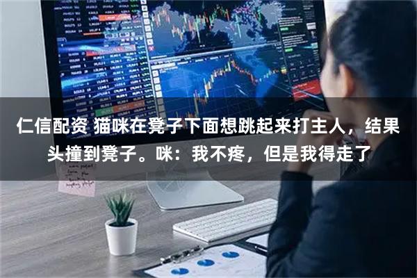 仁信配资 猫咪在凳子下面想跳起来打主人，结果头撞到凳子。咪：我不疼，但是我得走了