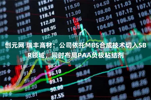 创元网 瑞丰高材:公司依托MBS合成技术切入SBR领域,同时布局PAA负极粘结剂